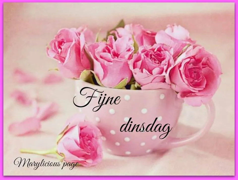 ᐅ dinsdagavond afbeeldingen - Fijne avond plaatjes Roze rozen in een roze kopje met de tekst "Fijne dinsdag".