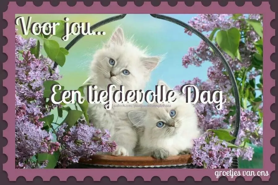 ᐅ donderdag krabbels - Donderdag plaatjes ᐅ donderdag krabbels - Donderdag plaatjes