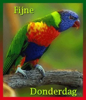 ᐅ donderdag krabbels - Donderdag plaatjes ᐅ donderdag krabbels - Donderdag plaatjes