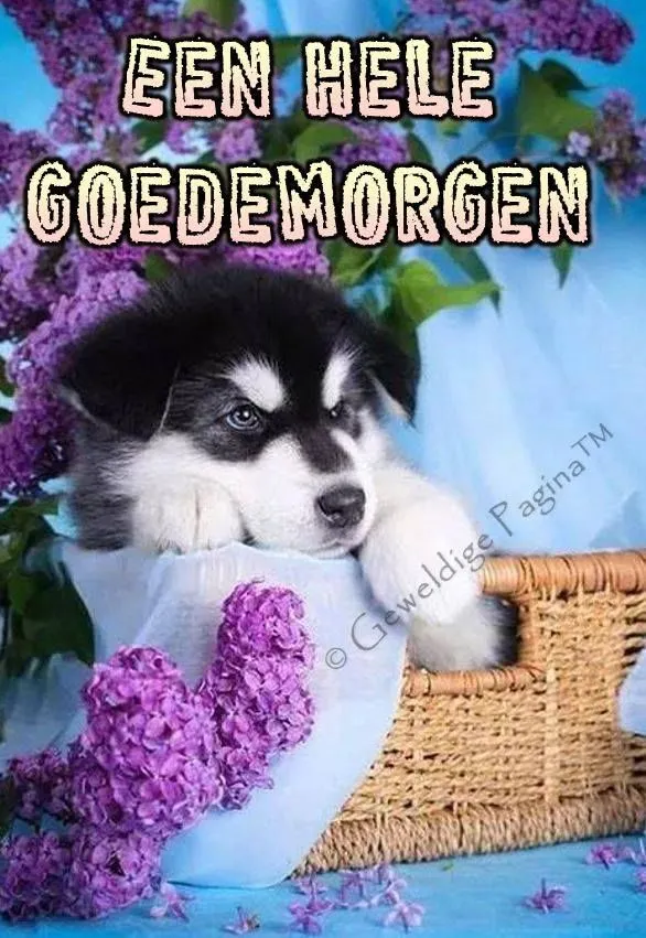 ᐅ donderdag krabbels - Donderdag plaatjes ᐅ donderdag krabbels - Donderdag plaatjes