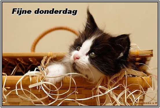 ᐅ donderdag wensen - Donderdag plaatjes