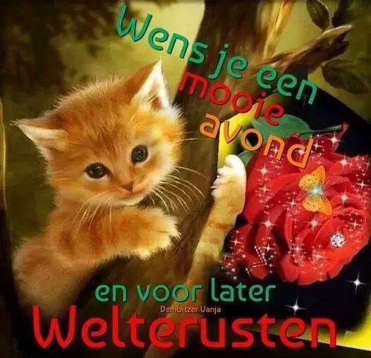 ᐅ donderdag wensen - Donderdag plaatjes