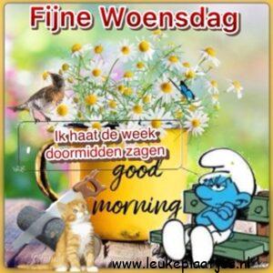 doormidden fijne woensdag