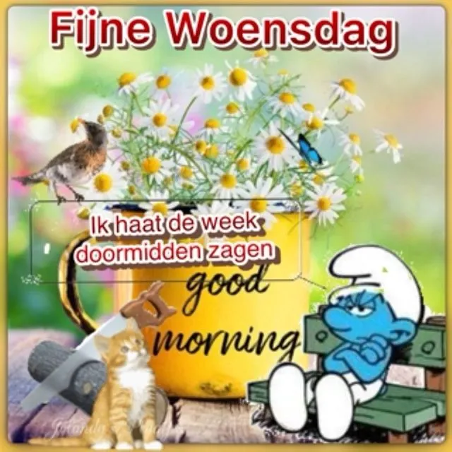 ᐅ doormidden fijne woensdag - Woensdag plaatjes