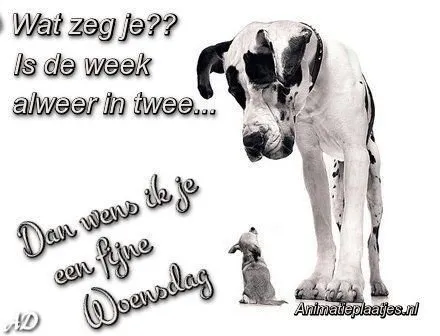 ᐅ doormidden fijne woensdag - Woensdag plaatjes