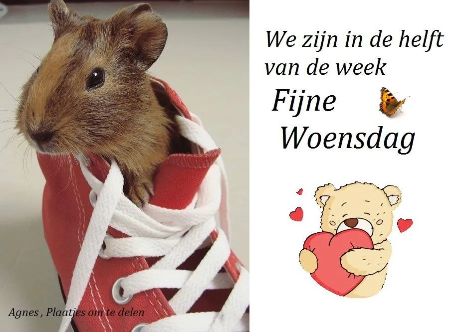 ᐅ doormidden fijne woensdag - Woensdag plaatjes