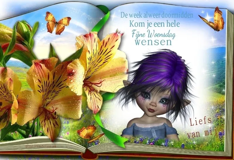 ᐅ doormidden fijne woensdag - Woensdag plaatjes