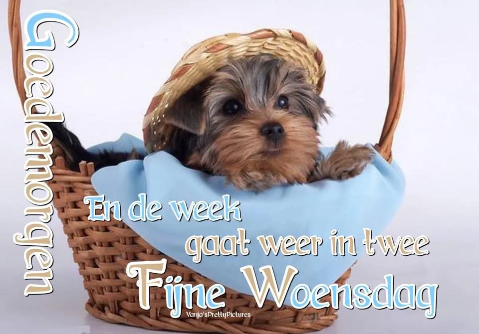 ᐅ doormidden fijne woensdag - Woensdag plaatjes