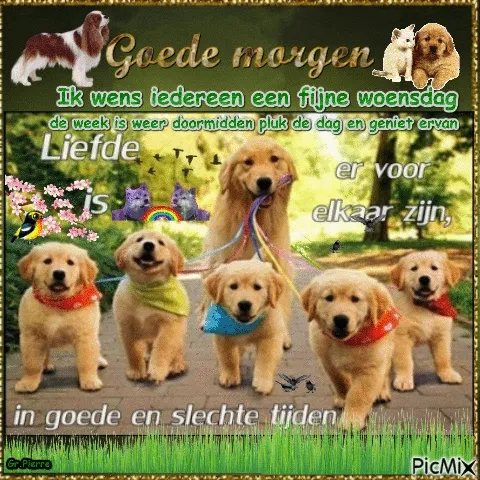 ᐅ doormidden fijne woensdag - Woensdag plaatjes