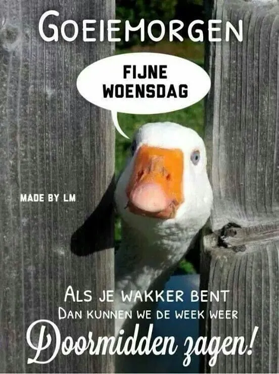 ᐅ doormidden fijne woensdag - Woensdag plaatjes