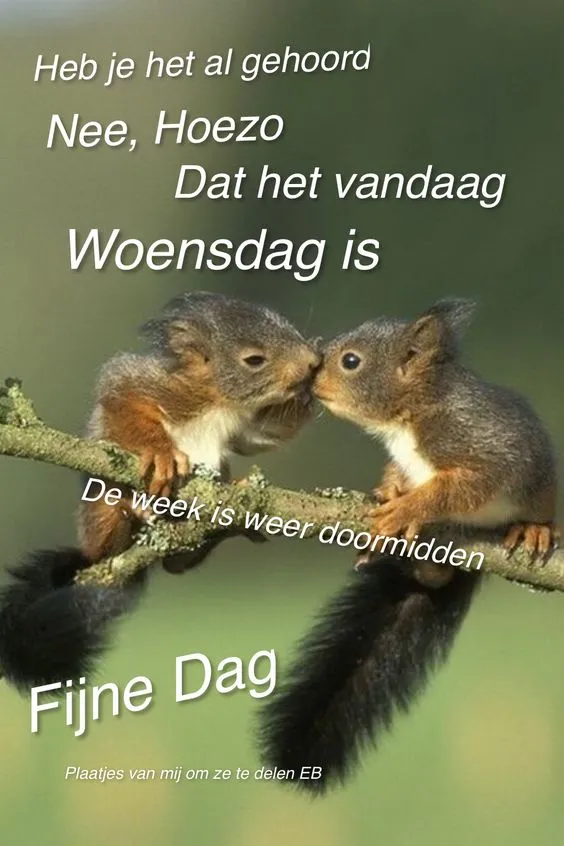 ᐅ doormidden fijne woensdag - Woensdag plaatjes