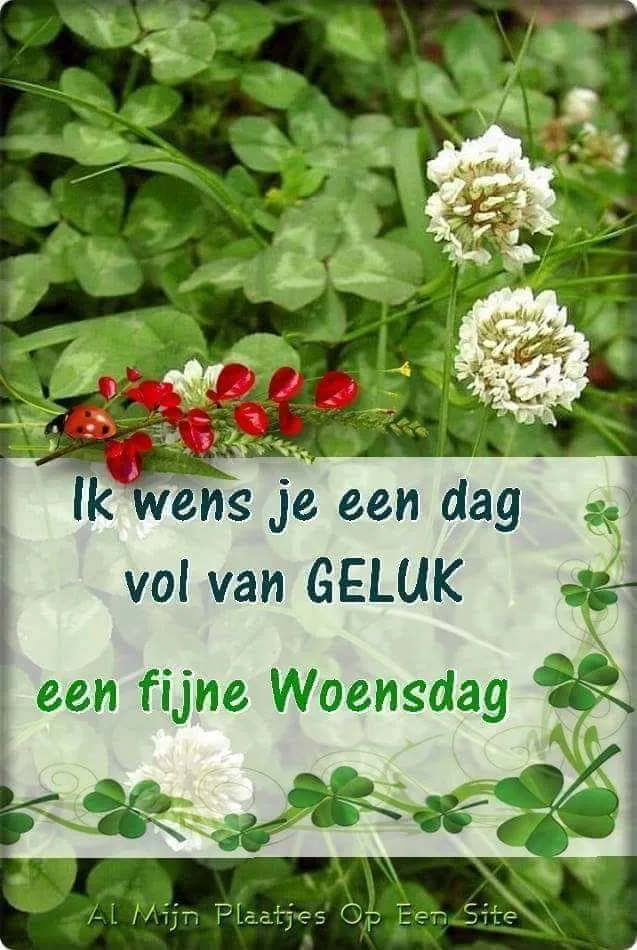 ᐅ doormidden fijne woensdag - Woensdag plaatjes