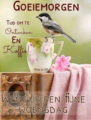 ᐅ doormidden fijne woensdag - Woensdag plaatjes