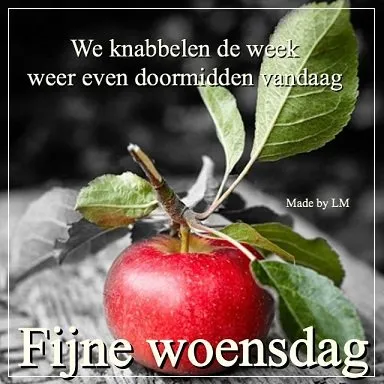 ᐅ doormidden fijne woensdag - Woensdag plaatjes