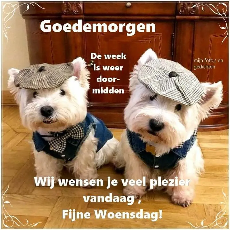ᐅ doormidden fijne woensdag - Woensdag plaatjes