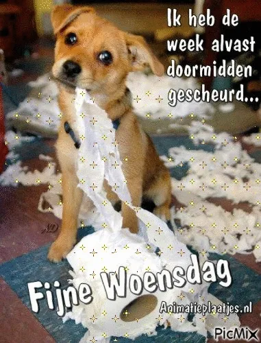 ᐅ doormidden fijne woensdag - Woensdag plaatjes