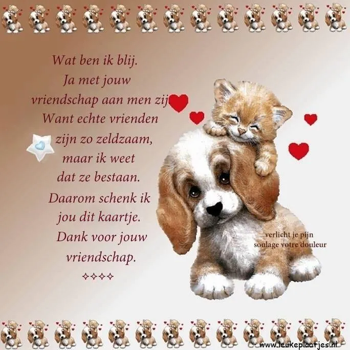 Een schattige puppy en een kitten met een tekst over vriendschap en waardering.