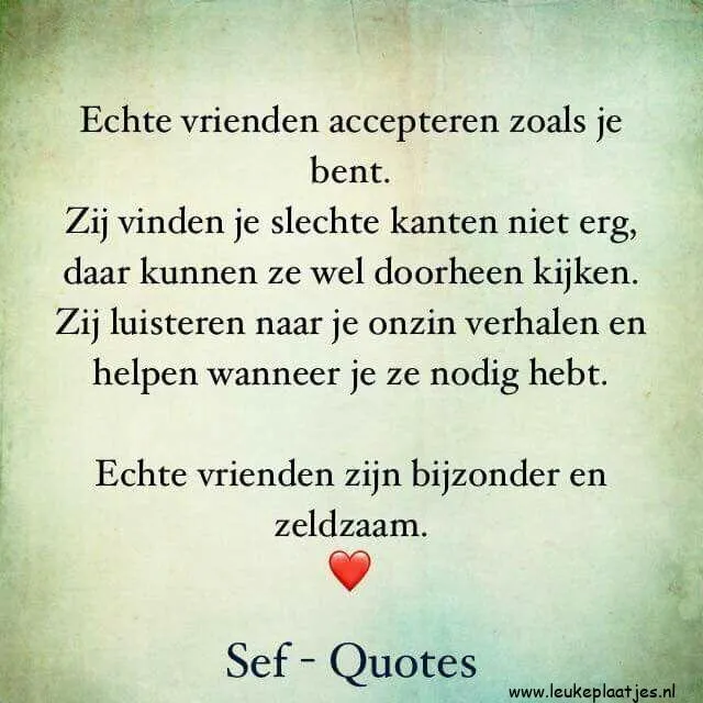 Korte quote over echte vriendschap en acceptatie van elkaar.
