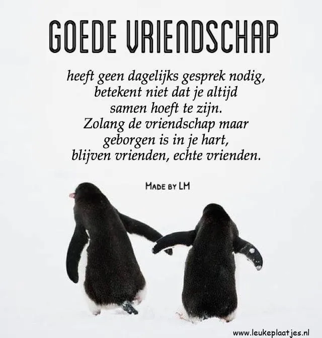Tekst over vriendschap met een afbeelding van twee pingvins die samen lopen.