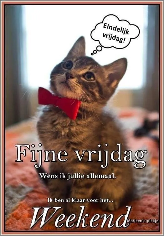 ᐅ eindelijk vrijdag krabbels - Vrijdag plaatjes