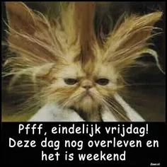 ᐅ eindelijk vrijdag krabbels - Vrijdag plaatjes