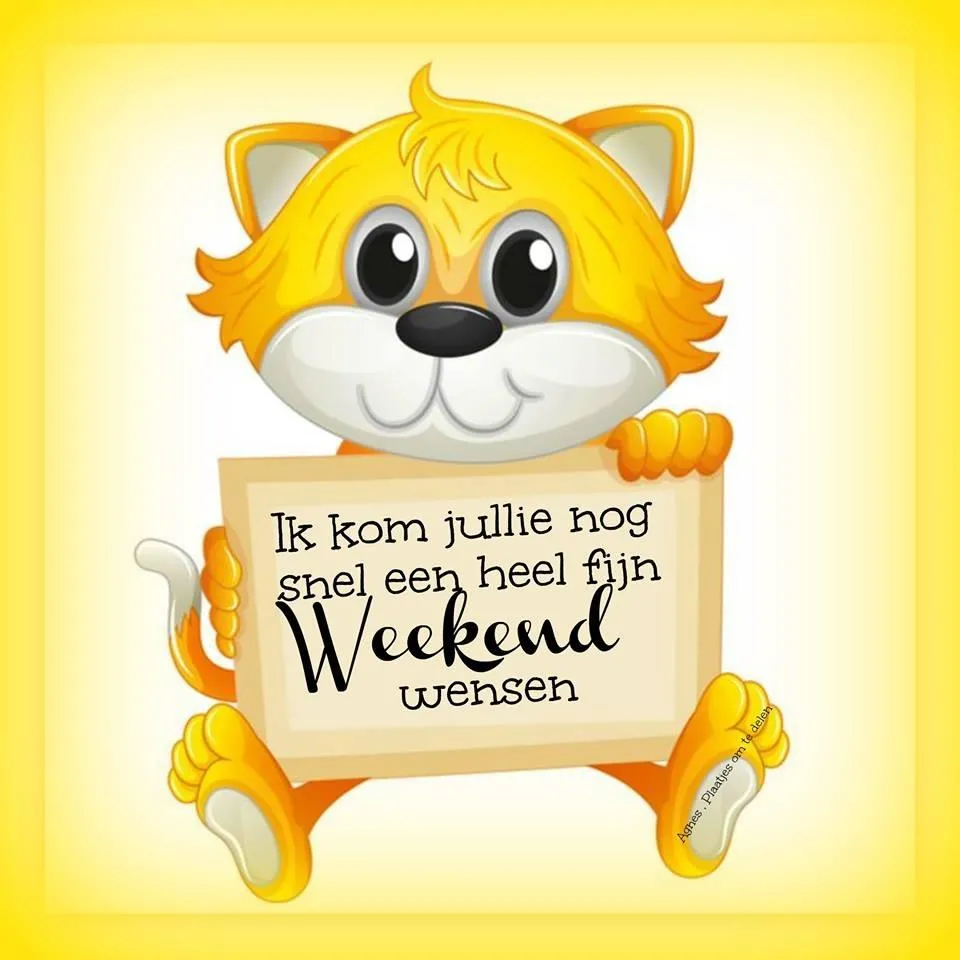 Een schattige leeuw met een bord waarop "Weekend wensen" staat geschreven.