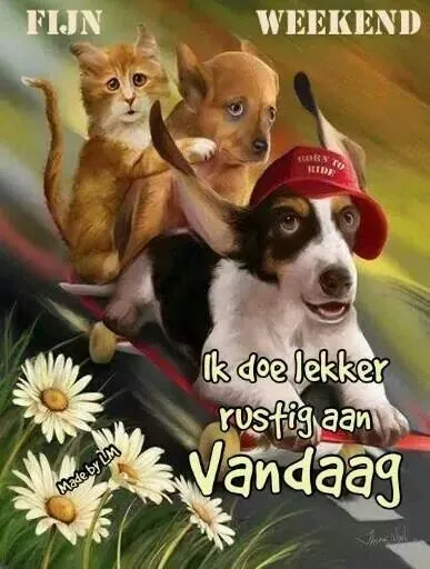 Een hond met een pet en twee dieren erop, met een tekst over het weekend.