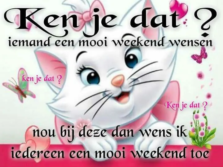 Een schattige kat met tekst: "Ken je dat? Iemand een mooi weekend wensen."