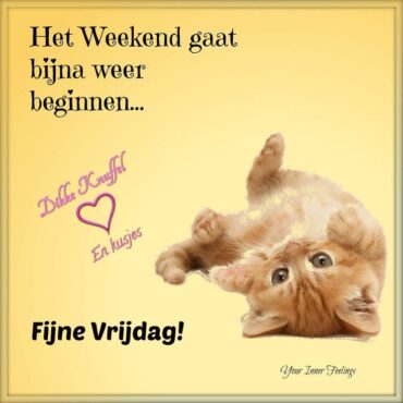 Hartverwarmende weekend plaatjes voor een vrolijk gevoel