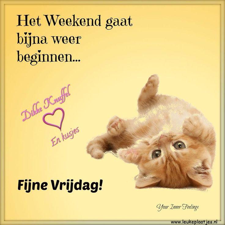 ᐅ fijn weekend allemaal - Weekend plaatjes