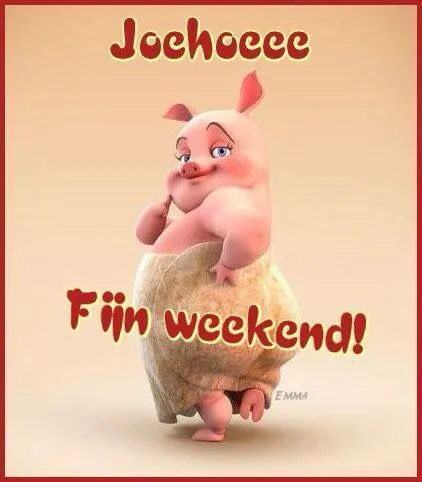 Een schattig varken met een vrolijke boodschap voor het weekend.