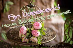 fijn weekend bloemen