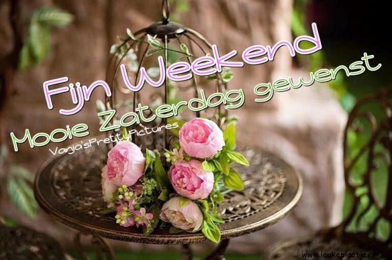 ᐅ fijn weekend bloemen - fijn weekend bloemen plaatjes