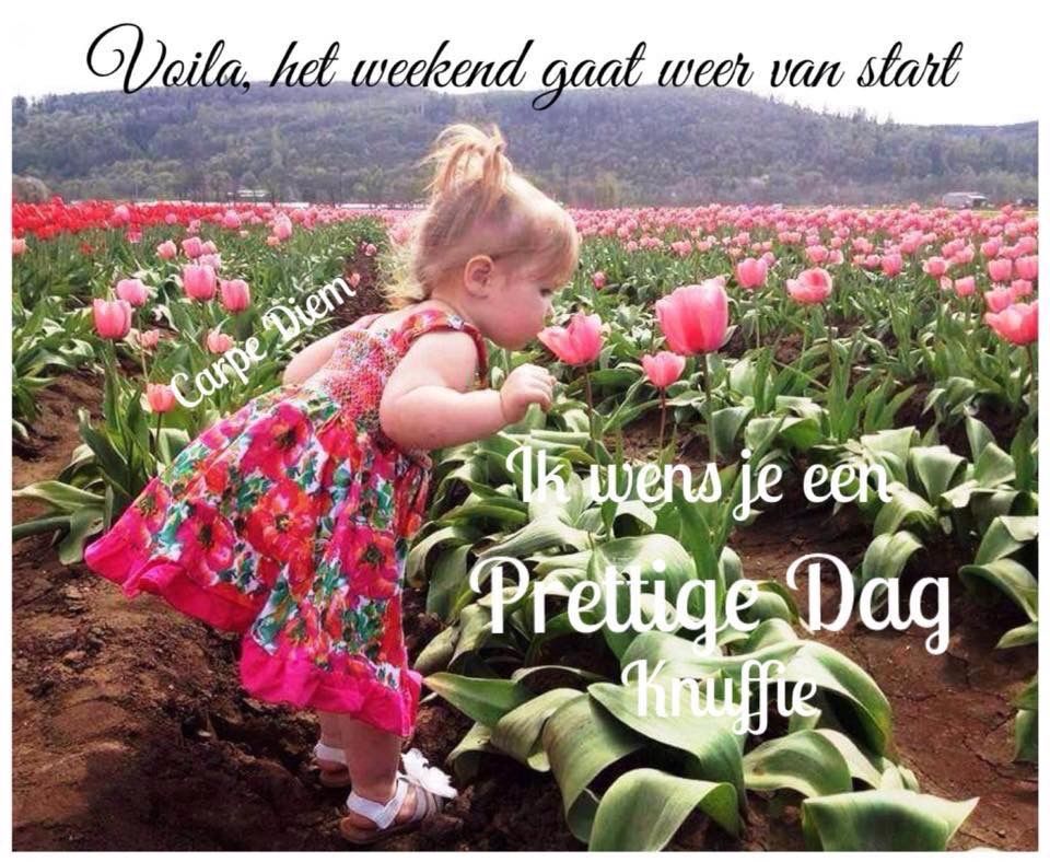  fijn weekend bloemen Weekend Leukeplaatjes nl