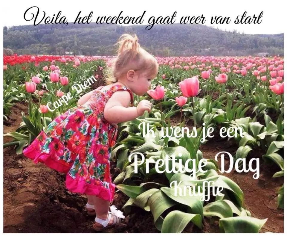 ᐅ fijn weekend bloemen - Weekend plaatjes Een kind in een kleurrijke jurk sniffend aan een bloem tussen tulpenvelden.