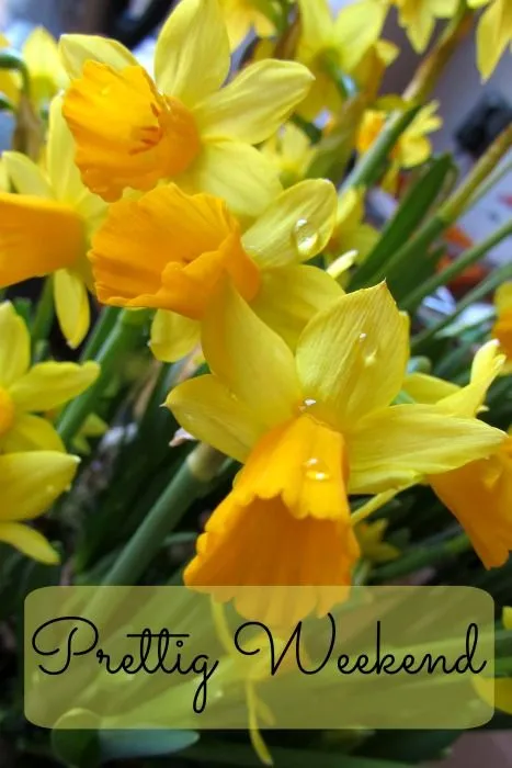 ᐅ fijn weekend bloemen - Weekend plaatjes Gele narcissen in bloei met de tekst "Prettig Weekend".