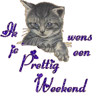 Tekst met een schattige kitten en de wens voor een prettig weekend.
