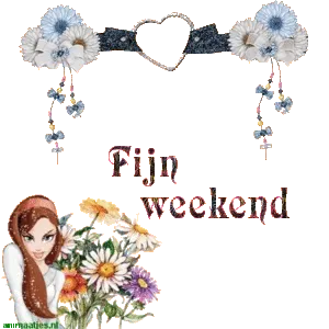Een kleurvolle afbeelding met bloemen en de tekst 'Fijn weekend'.