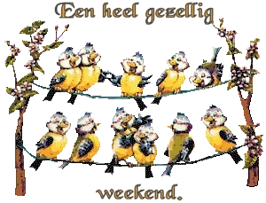 Twaalf kleurrijke vogels op een draad met de tekst: "Een heel gezellig weekend."