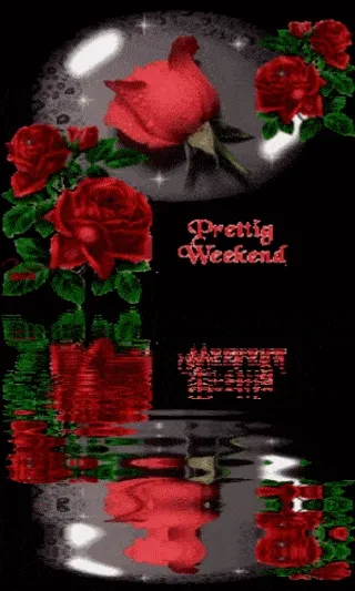 Rode rozen in een zwarte achtergrond met de tekst 'Prettig Weekend'.