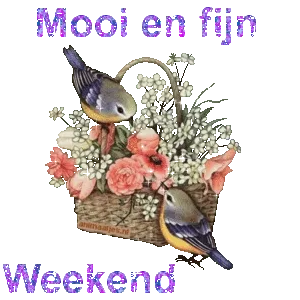 Twee vogels bij een bloembak met bloemen en de tekst "Mooi en fijn Weekend".