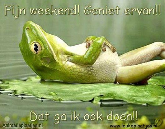 ᐅ fijn weekend grappig - Weekend plaatjes