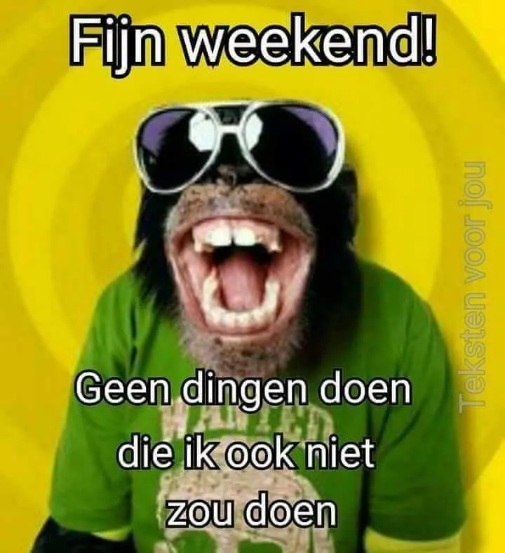 Een aap draagt een zonnebril en lacht met de tekst 'Fijn weekend!' eronder.