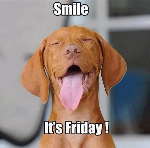 Een blije hond met gesloten ogen, met de tekst: "Smile, It's Friday!"