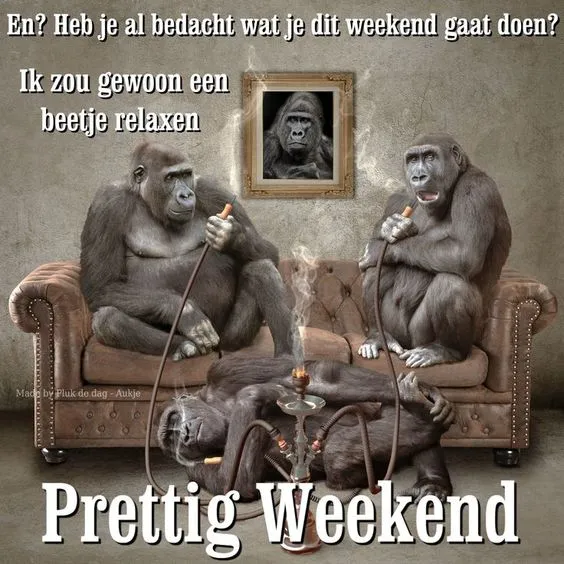 Drie gorilla's zitten rustig op een bank en roken, met de tekst "Prettig Weekend."