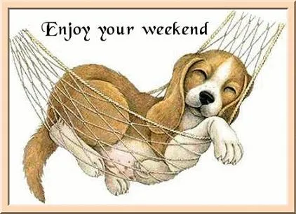 Een slapende beagle in een hangmat met de tekst "Geniet van je weekend".