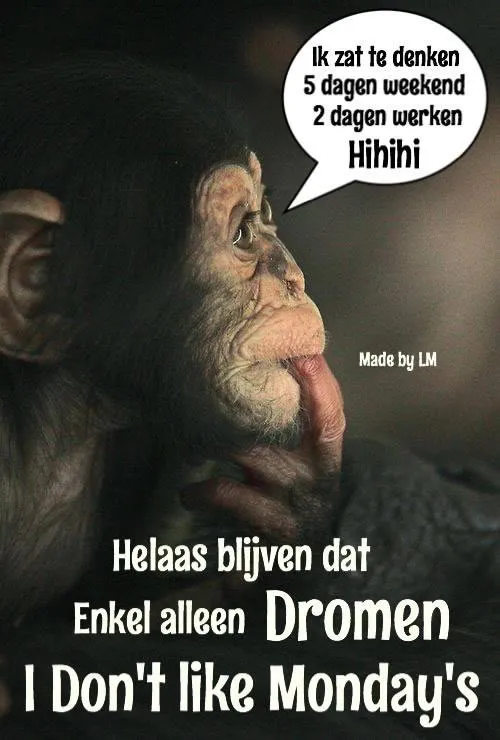 Aap met een grappige tekstballon van een aap die over werk en weekend denkt.