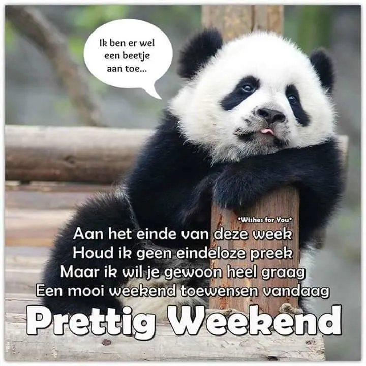 Een schattige panda met een boodschap voor een fijn weekend.