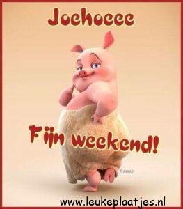 fijn weekend humor