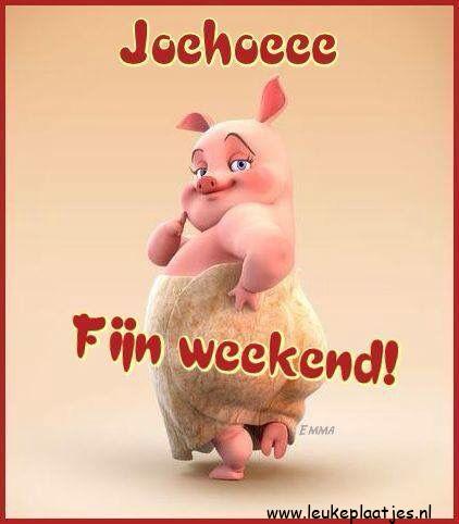 ᐅ fijn weekend humor - Weekend plaatjes